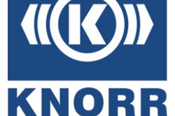 knorr